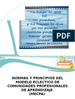 Normas y Principios de MECPA  