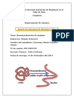 BIO2 - copia (1).docx