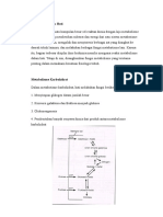 Fungsi Metabolik Hati