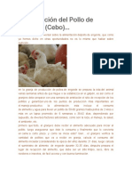 Alimentación Del Pollo de Engorde