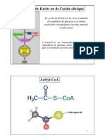 03_CycleKrebsL3BioCell.pdf