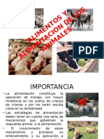 Alimentos y Alimentacion de Los Animales