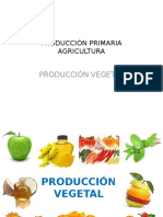 4produccinvegetal 150520144749 Lva1 App6891