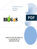 Informe Biogas 11