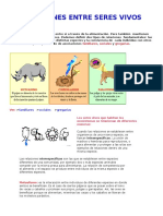 Relaciones Entre Seres Vivos