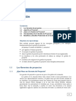 Gestion de Proyectos