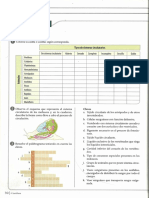 taller-circula-animal.pdf