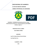 IDENTIFICACION DE FITOPATOGENOS Y SECUENCIA DE PATOGENESIS EN EL CULTIVO DE CEBADA (Hordeum Vulgare L.) " PDF