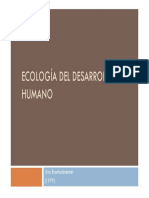 Teoria ecologica sistemas