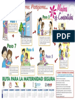 Afiches Maternidad Segura PDF
