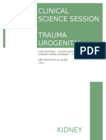 CSS Trauma Urogenital