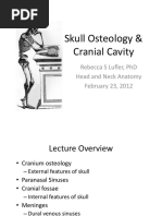 Skull Osteology & Cranial Cavity - TUSK