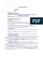 Proiect Didactic, 8, Relatii Sintactice+ Raporturi