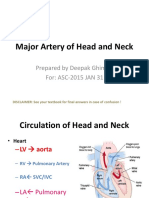 Arteries and Vein of Head and Neck