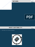 1SAP HANA Introduction