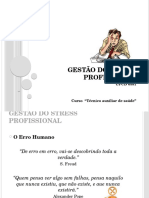 Gestão Do Stress Profissional