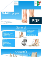 Resumen Basico de Tobillo