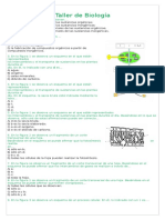 Fotosintesis Taller Con Graficos