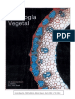 atlas de histologia vegetal.pdf