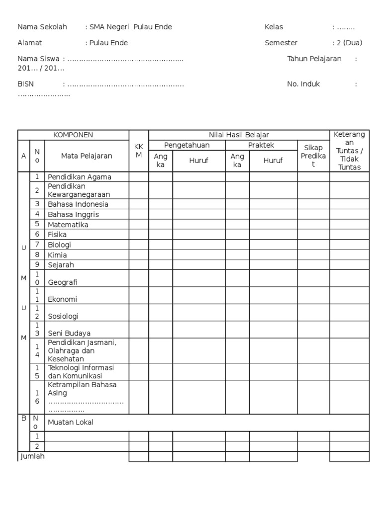 FORMAT RAPORT.doc