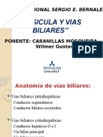 Anatomía y fisiología de las vías biliares