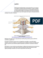 Generalidades LCR.pdf