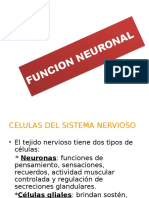 Funcion Neuronal