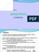 BIOQUIMICA.1269855075.ppt