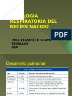 Fisiologia Respiratoria Del Recien Nacido