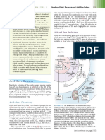  Bases de Patofisiologia 