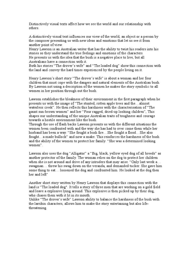 Drovers wife essay image