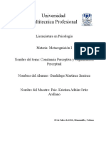 Constancia y Organización Perceptual