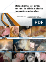 Hipotiroidismo-El-Gran-Imitador-En-La-Clínica-Diaria-1 Definitiva