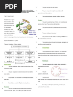Download Definition of Plant Tissue by Crash Zerocool SN323511995 doc pdf