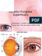 42790062 Keratitis Pungtata Superfisialis