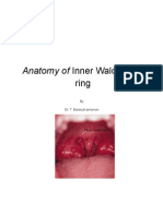 Waldayer's Ring Anatomy