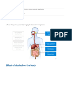 Effects of Alcohol Report