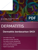 17. Dermatitis 2015