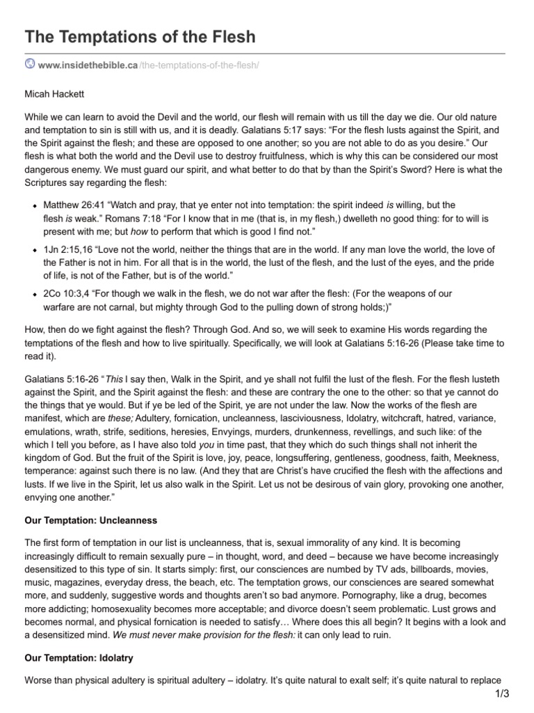 洋楽 Nitty Temptations of the Flesh Nitty Temptations of the