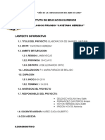 PROYECTO DE IVESTIGACION.docx