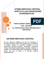 Sistema Nervioso Central Respecto A Las Capacidades Coordinativas