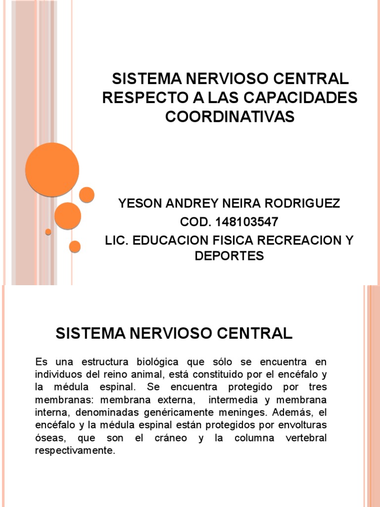 Sistema Nervioso Central Respecto A Las Capacidades Coordinativas PDF | Sistema nervioso central | Ciencia cognitiva