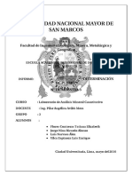 Informe plomo cuantitativo.docx