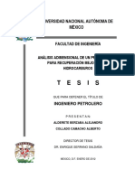 Tesis PDF