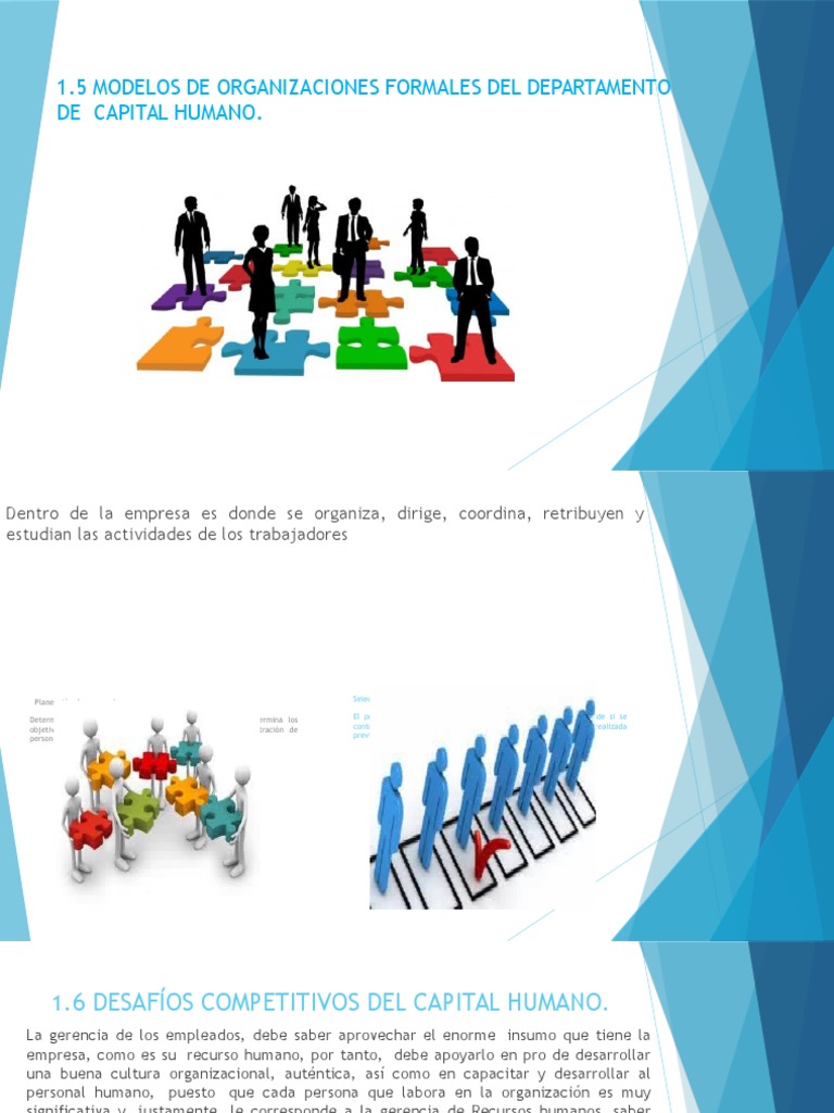 1.5 Modelos De Organizaciones Formales Del Departamento De Capital Humano