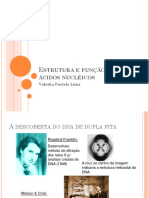 Aula 2estrutura e Fun o Dos Cidos Nucl Icos