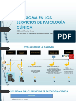 Seis Sigma en Los Servicios de Patologia Clinica PDF