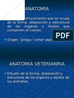 1 Introduccios A La Anatomia TERMINOLOGÍA ANATÓMICA