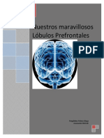 Nuestros maravillosos Lóbulos Prefrontales.pdf