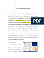 Proses Spermatogenesis Dan Oogenesis